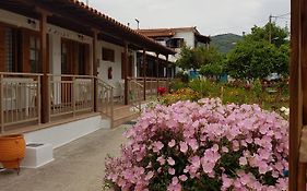 Asimina'S House